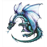 >OS DRAGÃO BR<
