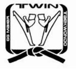 TaeKwonDo Twins