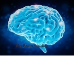 (Big Brain Studios)