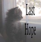 LastHope 羨'