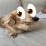 [ 何 ]