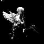 fallen angel*