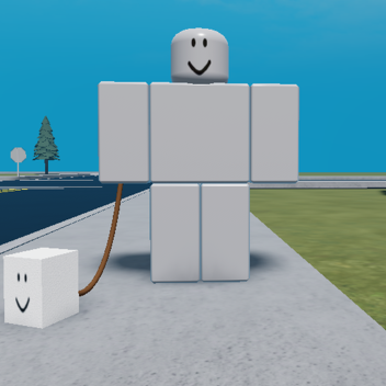 Take your pet for a walk