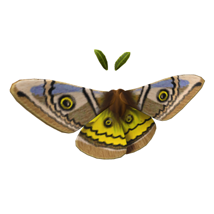 Glorious Moth Wings