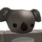 Koala official group!!!
