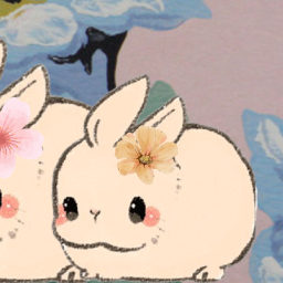 ｡ﾟ ｡ 🌸