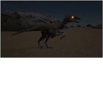 The Trodon Counsil