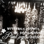 Butterfly County