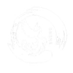 Absolute | 絶対