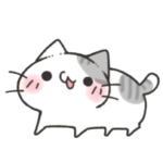 SHYGIRLS