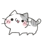 SHYGIRLS Group Thumbnail