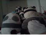 Alexa and Pandy