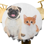 The Pug And Cat Ggroup