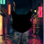 ### (The Raid Association)