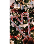 Christmas Coutdown!
