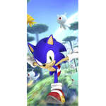 Sonicandgavin group
