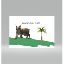 bobcat chill hang out  again
