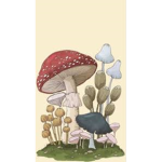 ~*The Hasty Mushrooms*~