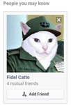The cats and dogs group:)