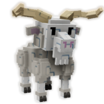 Angora Goat