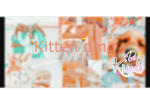 Kitten omg