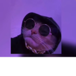 Cats clubbb