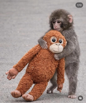 Punch The Monkeys