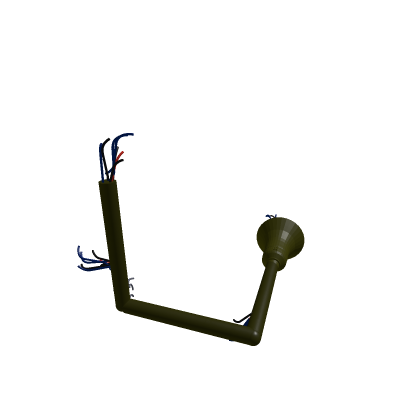 old megaphone guy