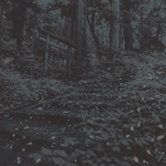 Firefly Few
