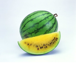 Watermelons Land