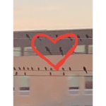GucciBirdz