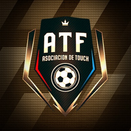 ATF Match Pitch | Futsal