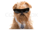 Dumle Dog