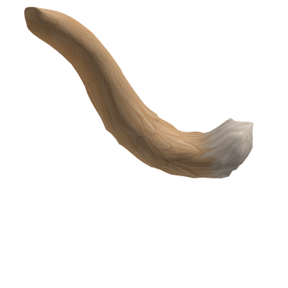 Kitten tail