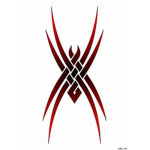 クモSpider-Cloaksマント