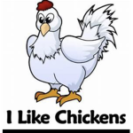 Chicken yooooo