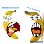Bananas bononos group