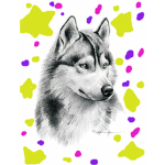 husky signs