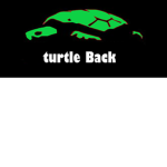 Turtle Back