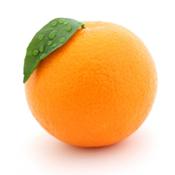 RIDE INTO A ORANGE