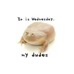 It is wednesday