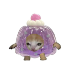 R 3 B 1 R T H