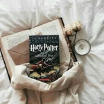 Wingardium Leviosa!