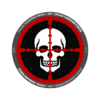 Special Tactical Taskforce - S . T . T