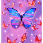 [butterfly]