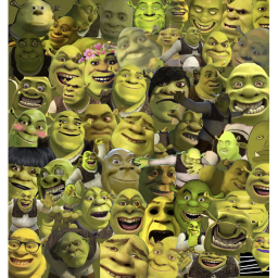 fight in shrek world