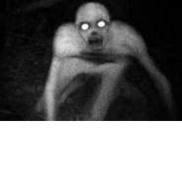 SCP / The Rake!!!! (special)