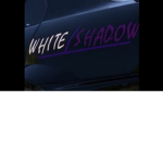 white shadow racing team group