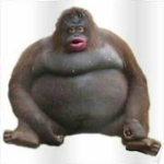 Munkeh chunkehs