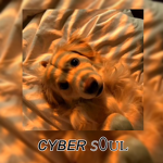 Cyber S0ul